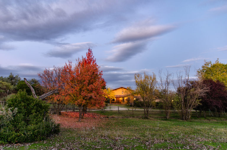 Descripción y detalles | Finca La Herrería Casa Rural